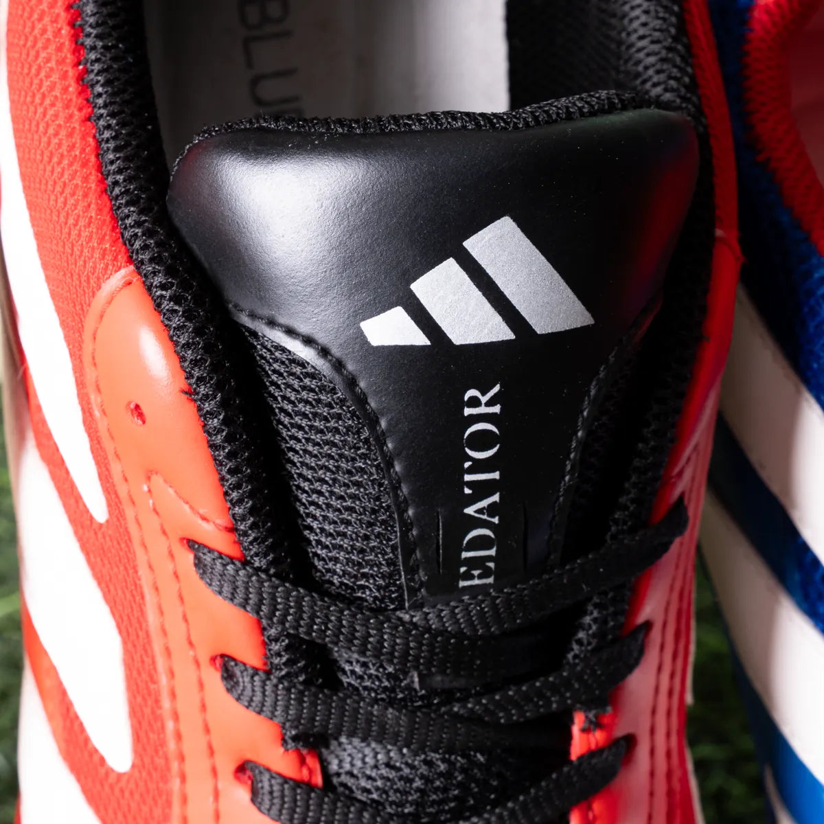 Add Predator Tertan BL6