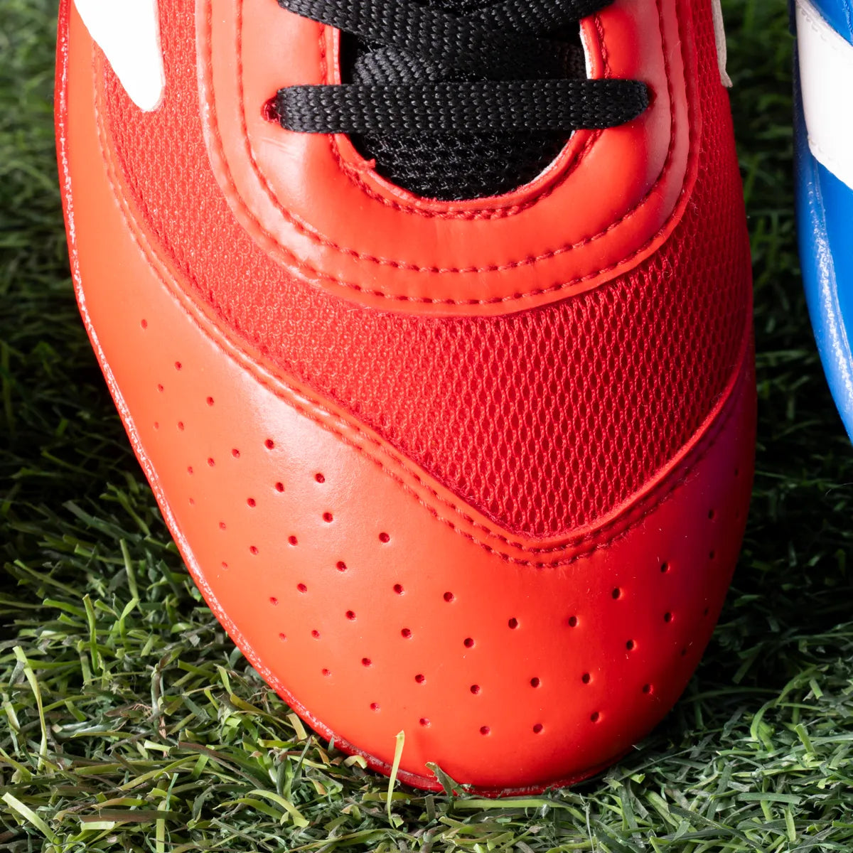 Add Predator Tertan BL6